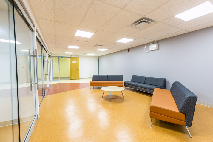 Cestar High School Toronto 