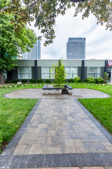 Cestar High School Toronto 